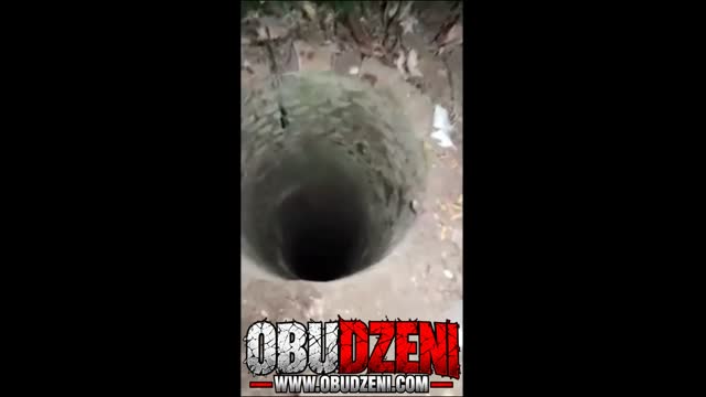 Coś warczało z dziury do której zaglądała